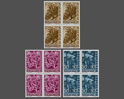 Heimische Bäume und Sträucher - IV