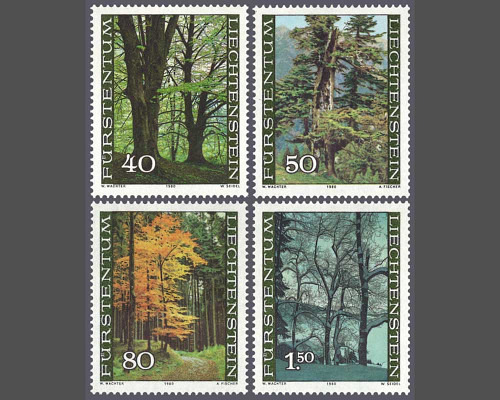 Der Wald in den vier Jahreszeiten