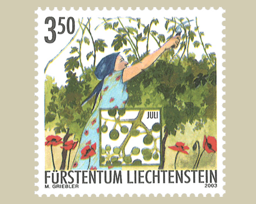 Das Jahr des Winzers: Winzerarbeit im So