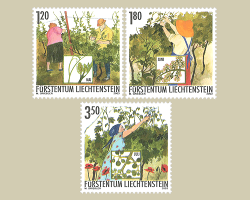 Das Jahr des Winzers: Winzerarbeit im So