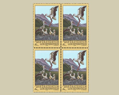 Weissstörche im Alpenrheintal