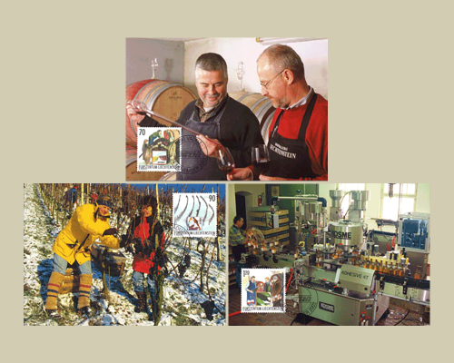 Das Jahr des Winzers: Winzerarbeit im Wi