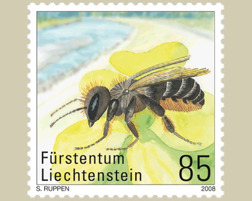 Seltene Bienen und Wespen in Liechtenste