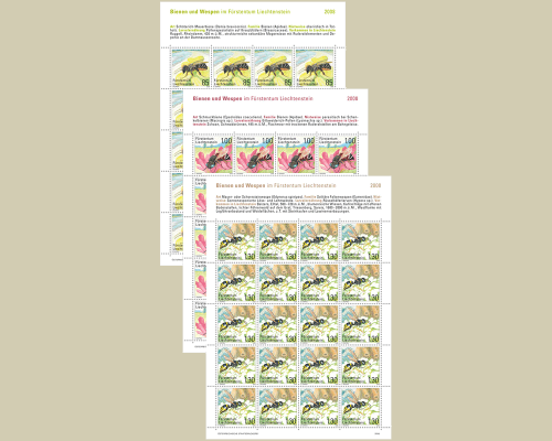 Seltene Bienen und Wespen in Liechtenste