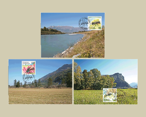 Seltene Bienen und Wespen in Liechtenste