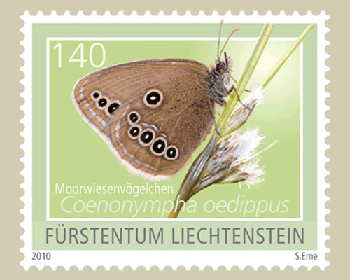 Schmetterlinge - II