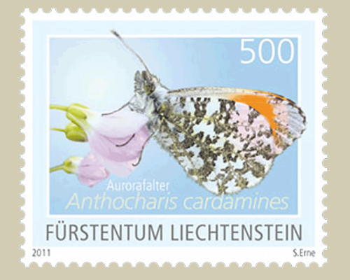 Schmetterlinge - III