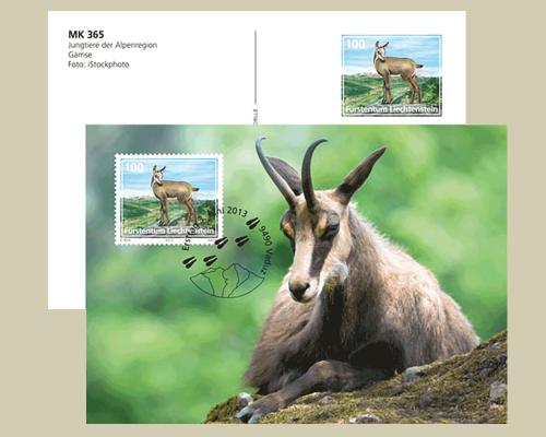 Bildpostkarte: Jungtiere der Alpenregion