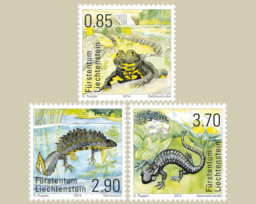Amphibien