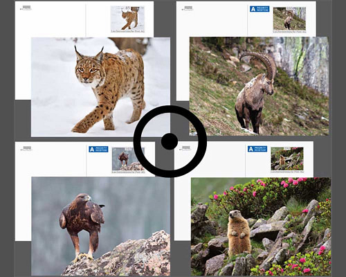 Bildpostkarte: Lebensraum Alpen