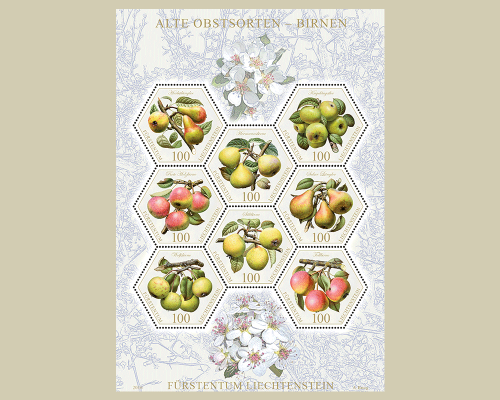 Alte Obstsorten: Birnen