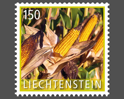 Kulturpflanzen - Getreide