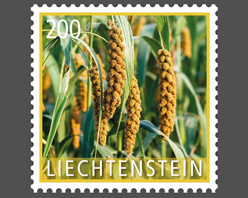 Kulturpflanzen - Getreide