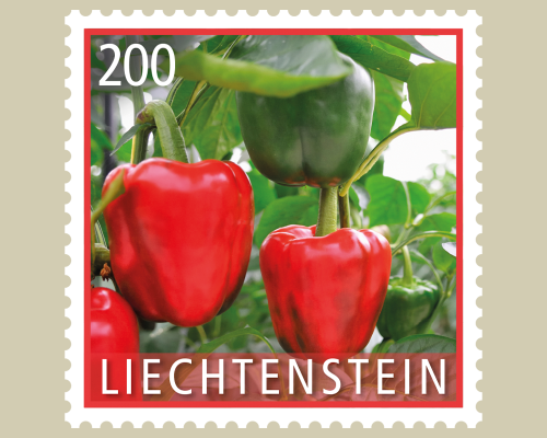 Kulturpflanzen - Gemüse