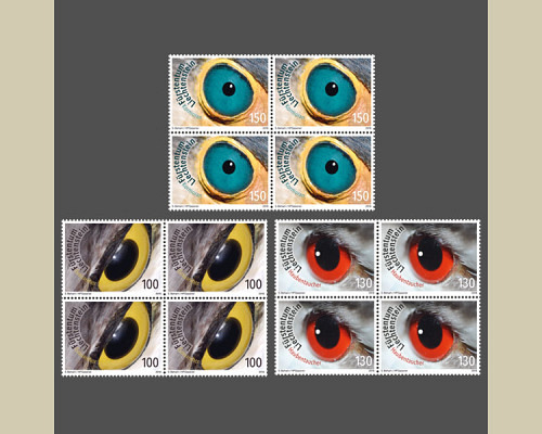 Künstlerische Fotografie: Vogelaugen