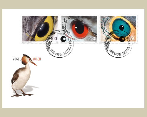 Künstlerische Fotografie: Vogelaugen