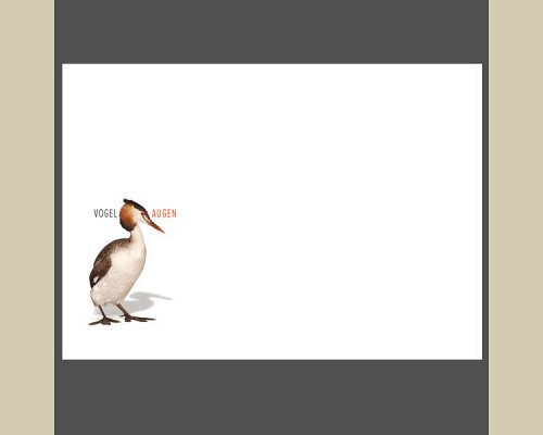 Künstlerische Fotografie: Vogelaugen