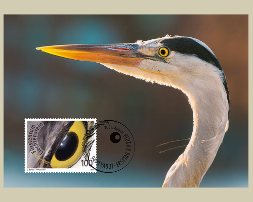 Künstlerische Fotografie: Vogelaugen