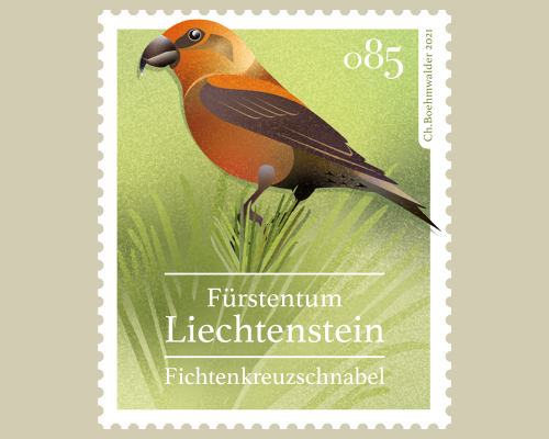 Heimische Singvögel