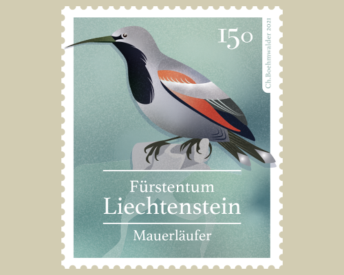 Heimische Singvögel