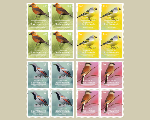 Heimische Singvögel