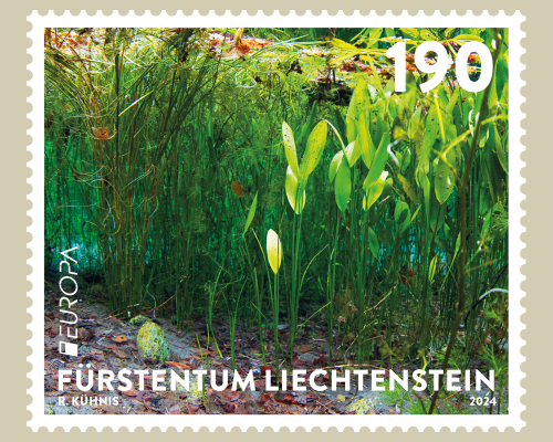 EUROPA - Unterwasserfauna und -flora