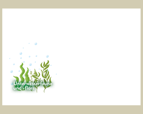 EUROPA - Unterwasserfauna und -flora