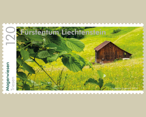 Panorama - Magerwiesen