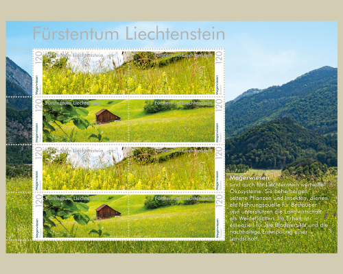 Panorama - Magerwiesen