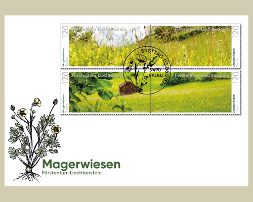 Panorama - Magerwiesen