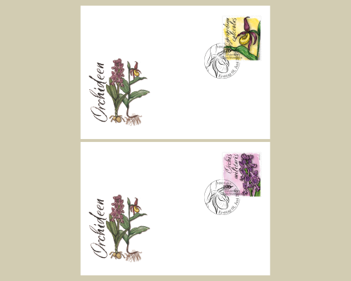 Orchids