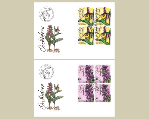 Orchids