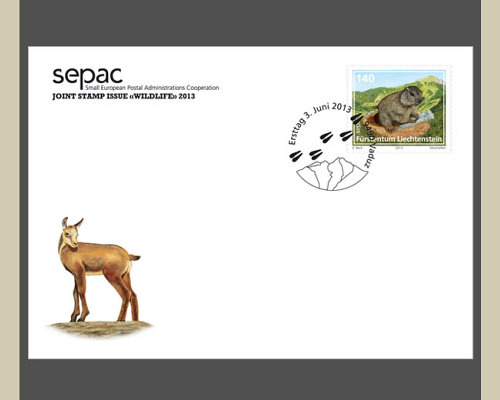 Sonderbeleg - SEPAC Ausgabe 2013