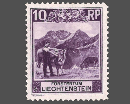 Kosel / billigste Zähnung