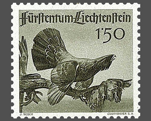 Jagd - I