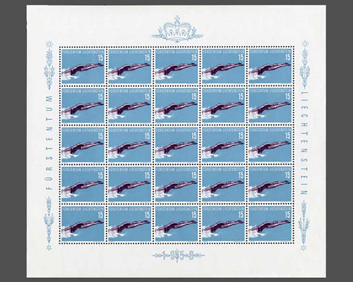 Sport: Schwimmen, Fechten, Tennis, Radfa