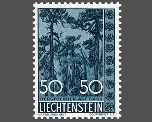 Heimische Bäume und Sträucher - IV