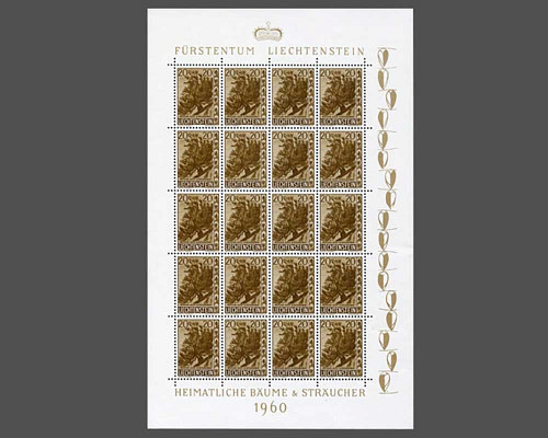 Heimische Bäume und Sträucher - IV