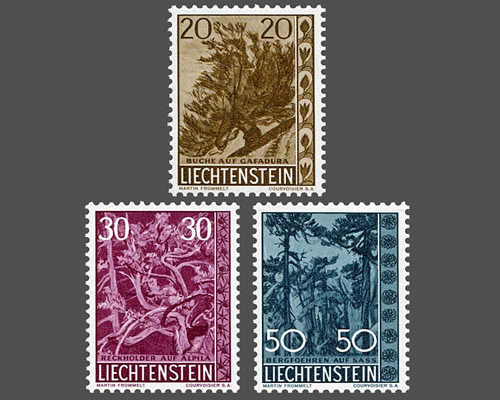 Heimische Bäume und Sträucher - IV