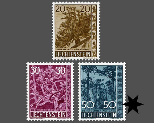 Heimische Bäume und Sträucher - IV