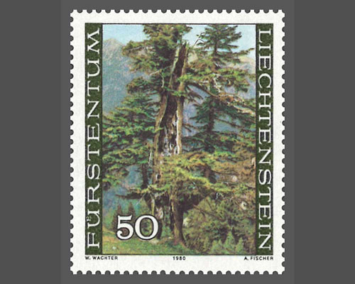 The forest in the four seasons