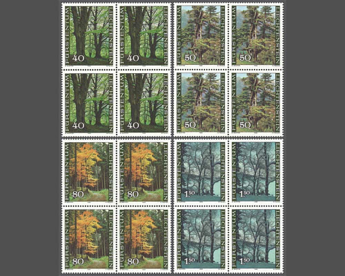 Der Wald in den vier Jahreszeiten