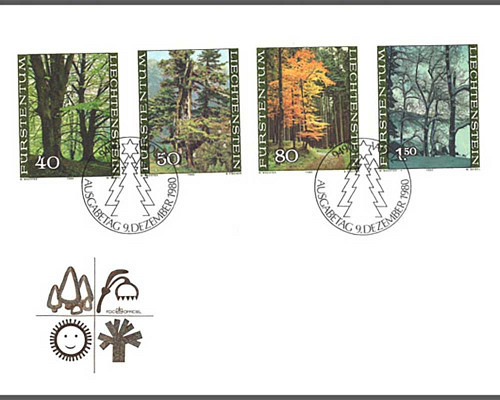 Der Wald in den vier Jahreszeiten