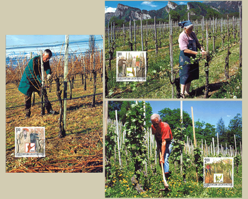 Das Jahr des Winzers: Winzerarbeit im Fr