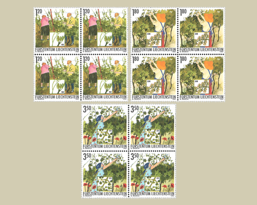 Das Jahr des Winzers: Winzerarbeit im So