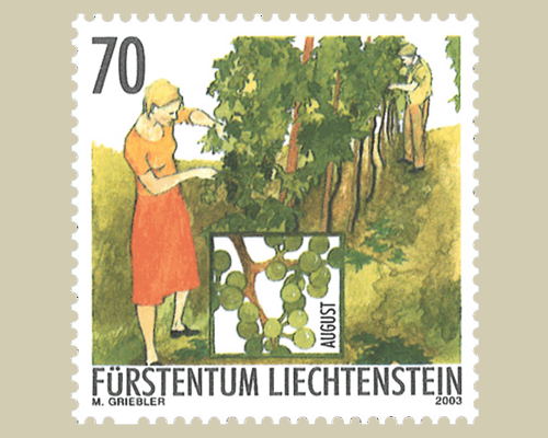 Das Jahr des Winzers: Winzerarbeit im He