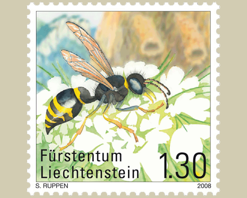Seltene Bienen und Wespen in Liechtenste