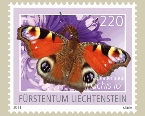 Schmetterlinge - III