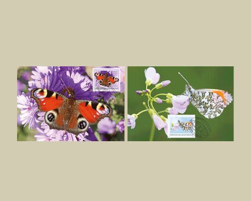 Schmetterlinge - III