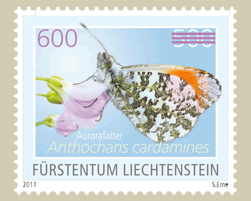Schmetterling - (Provisorium)